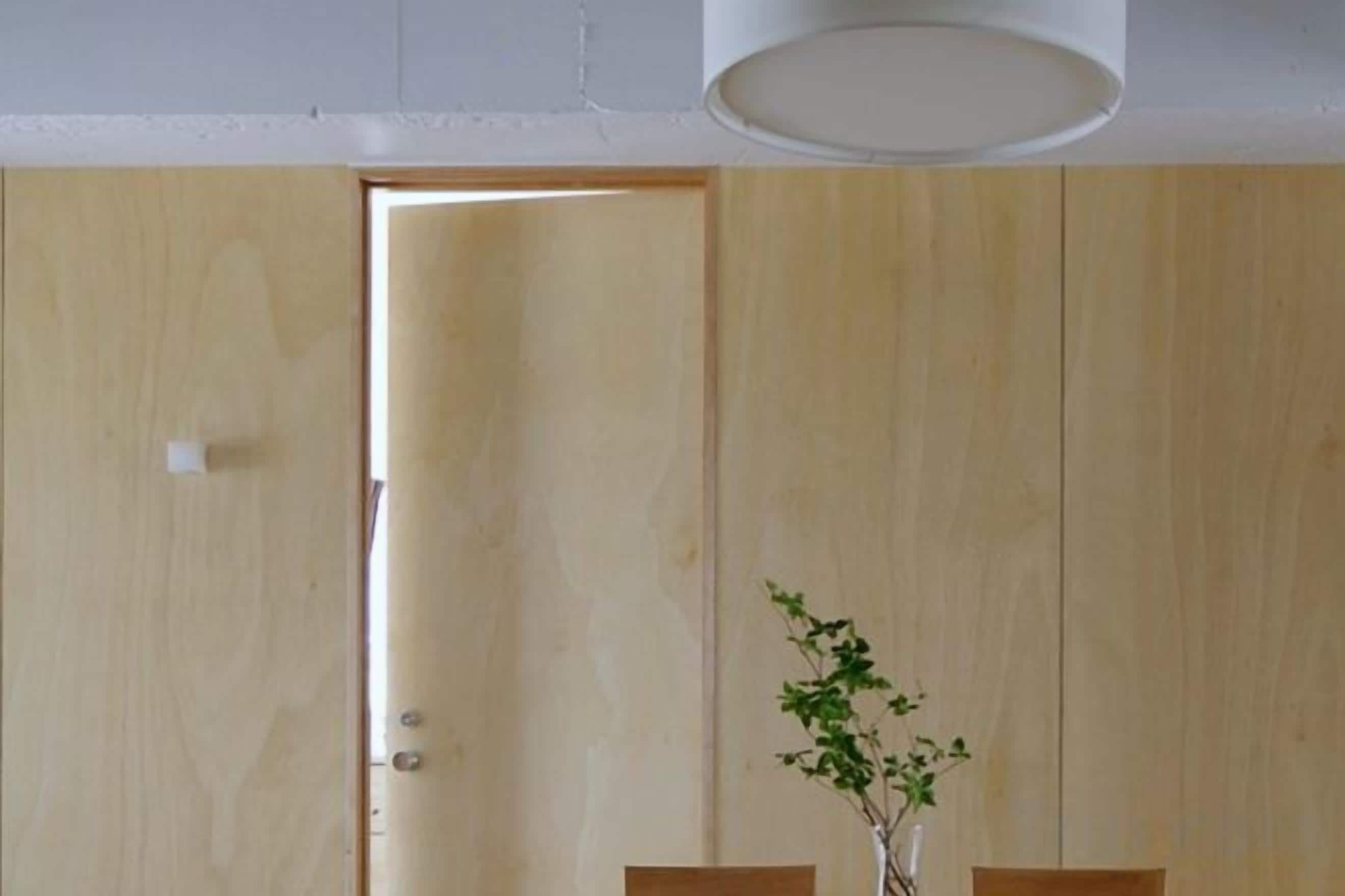 Una puerta de madera con una lámpara de techo blanca encima.