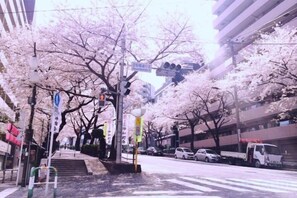 Unclassified image, 2 of 12, button - TokyoPan B&B (Tokyo)