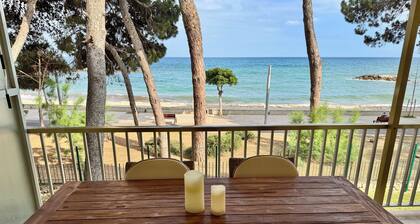 Exclusive Seafront Property