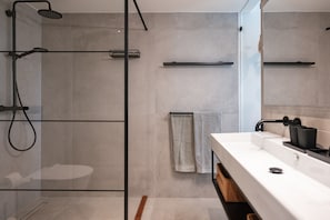 Douche, sèche-cheveux, serviettes fournies, papier toilette