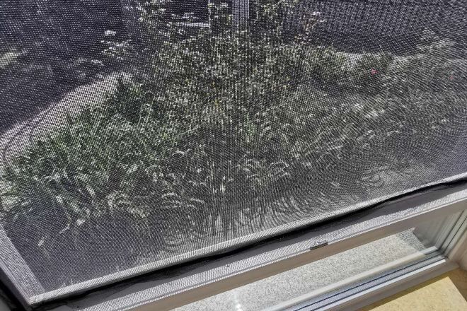 Nôi/giường cho trẻ sơ sinh 