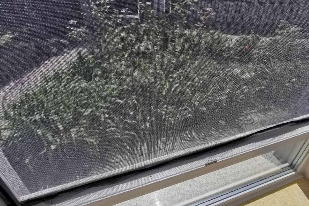 Finestra amb mosquitera i vista a un jardí.
