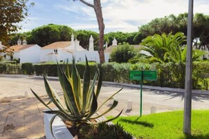 Un jardín bien cuidado con una gran planta de agave, un cartel verde direccional y edificios blancos al fondo.