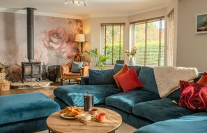 TV, fireplace, books, stereo