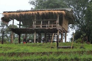 Unclassified image, 2 of 15, button - Hae o bi (rice terraces) (Samoeng)