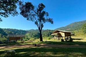 Miscellaneous - Hae o bi (rice terraces) (Samoeng)