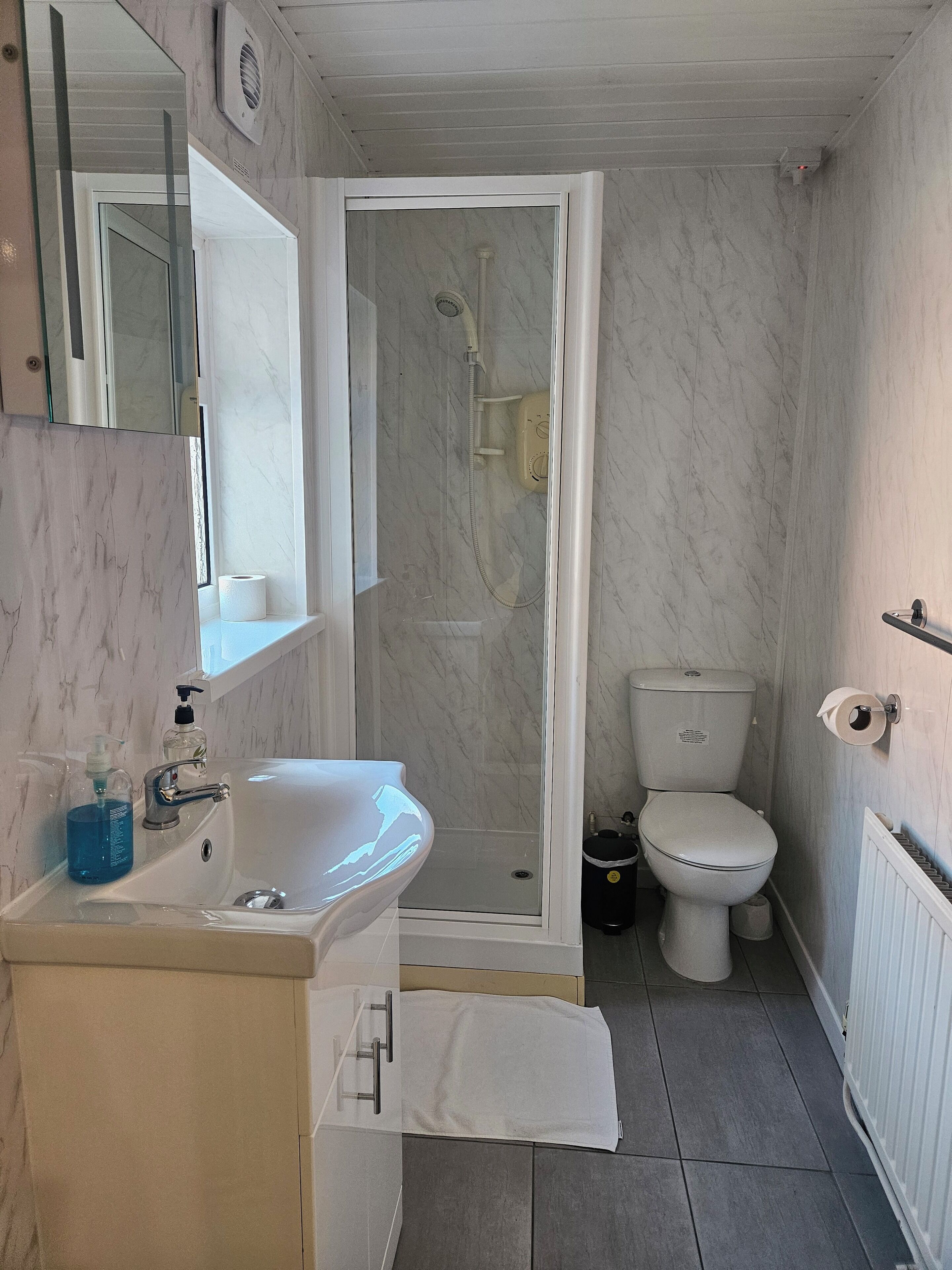 Apartment | Bathroom | Shower, free toiletries, hair dryer, towels