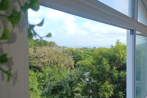 Vista desde la propiedad