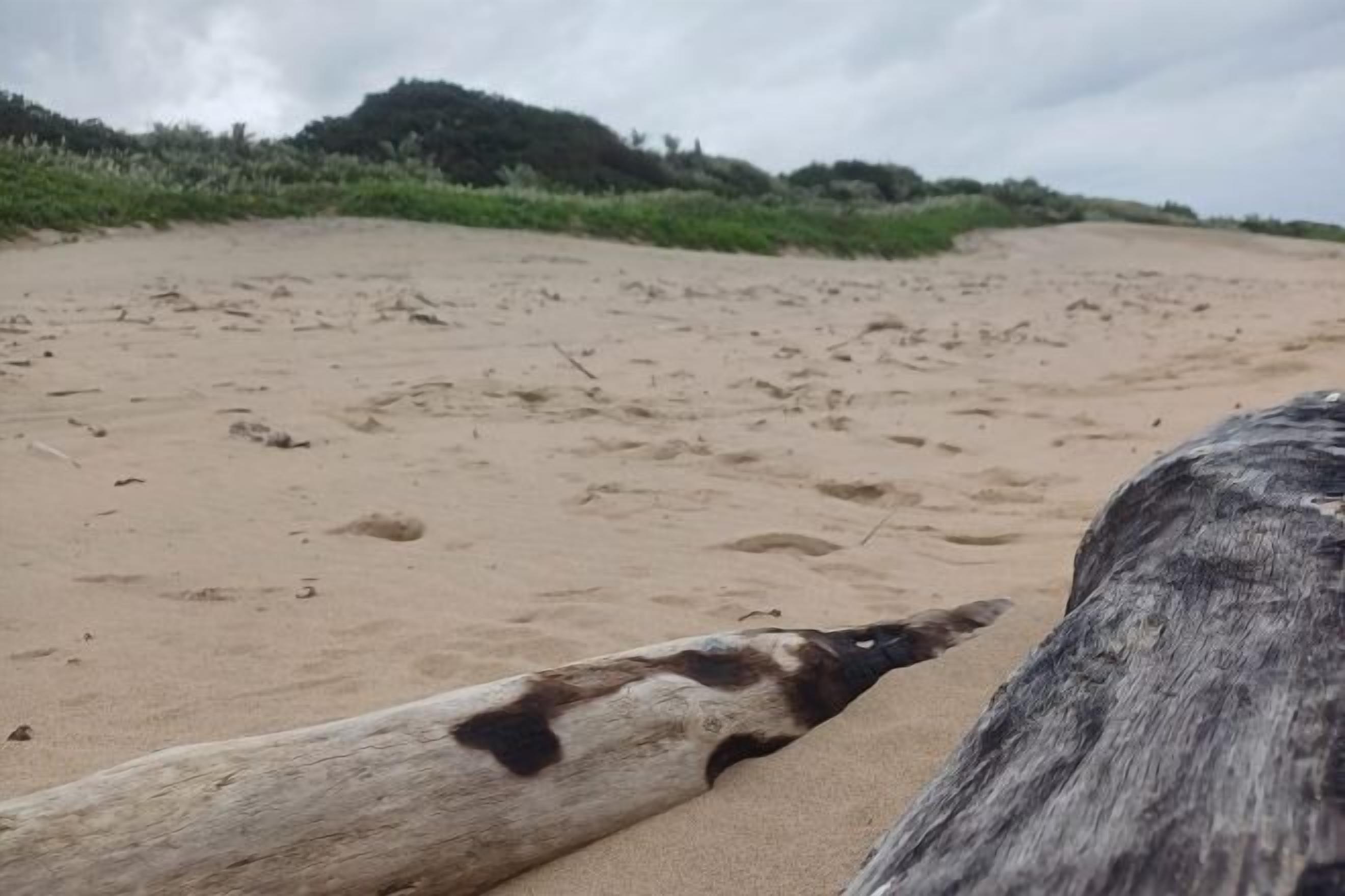 Privatstrand in der Nähe