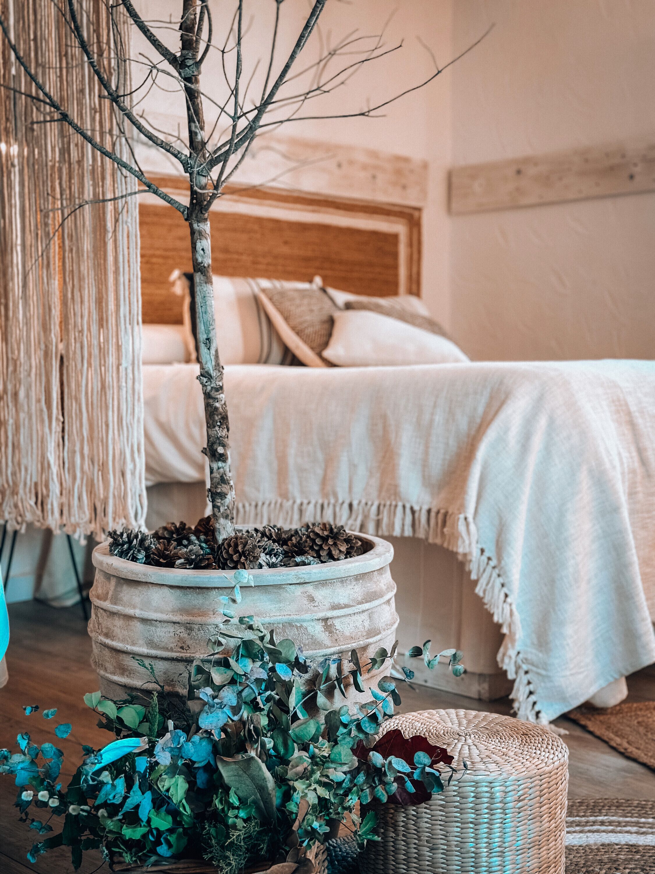 1 slaapkamer, wifi, beddengoed