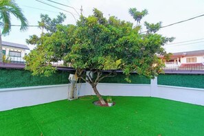 Un árbol en un área ajardinada con un muro blanco y un seto verde al fondo.