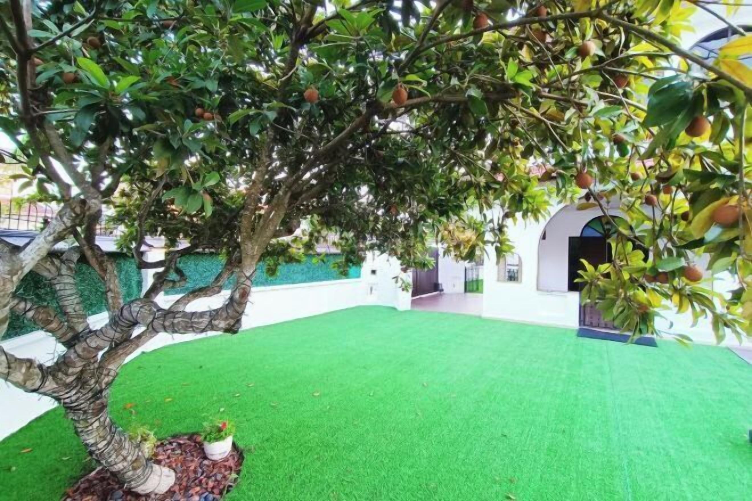 Enceinte de l’hébergement