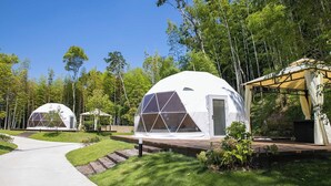 Three dome-shaped yurts in a forest setting with a paved walkway.