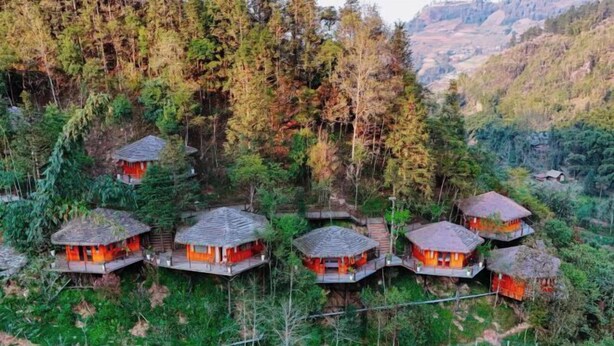 Conjunto de alojamientos tipo casa en los árboles con varios niveles, rodeado de un bosque denso y colinas.