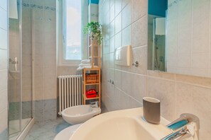 Shower, hair dryer, bidet, towels