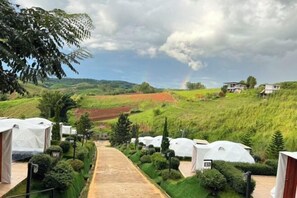 Room - Florafreskhaokho (Khao Kho)