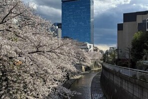 View from property - Tokyo Harbor (Tokyo)