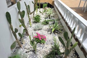 Un jardín con diversos cactus y suculentas, una cerca blanca y un sendero de grava.