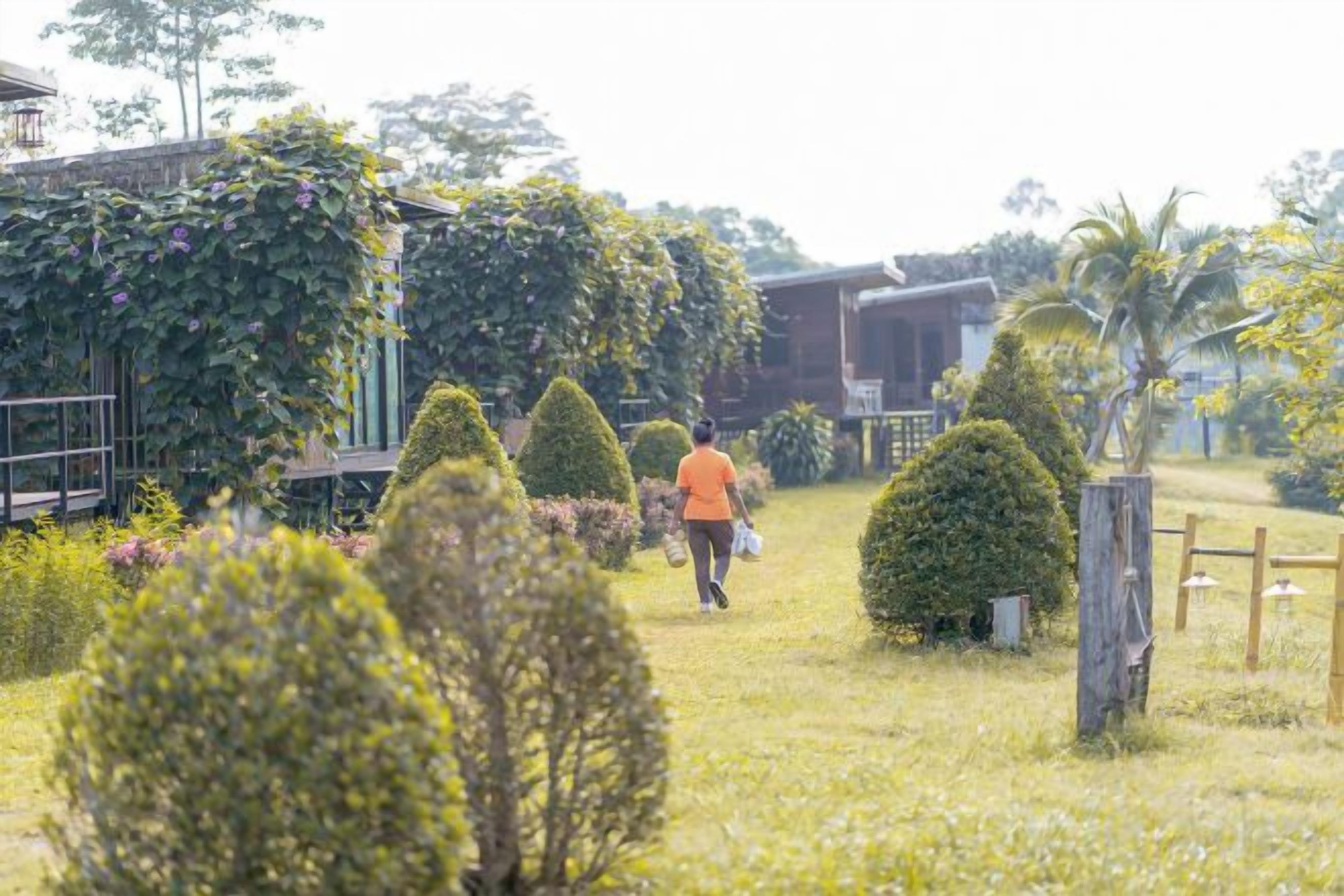 Uma pessoa caminhando por um jardim com diversas plantas e um edifício ao fundo.