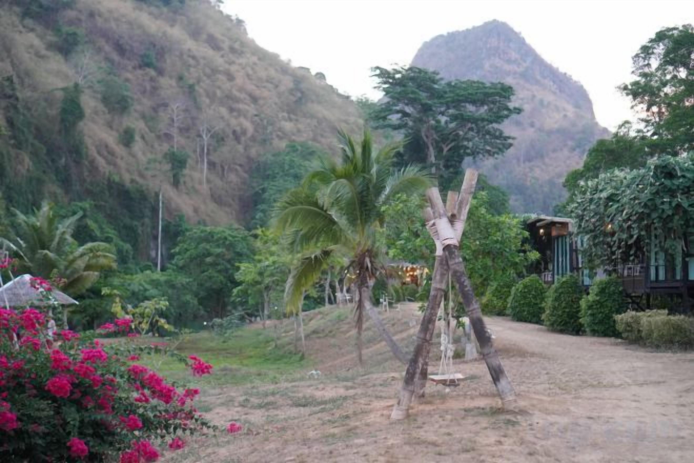 A rustic wooden swing set in a natural setting with a mountain in the background.