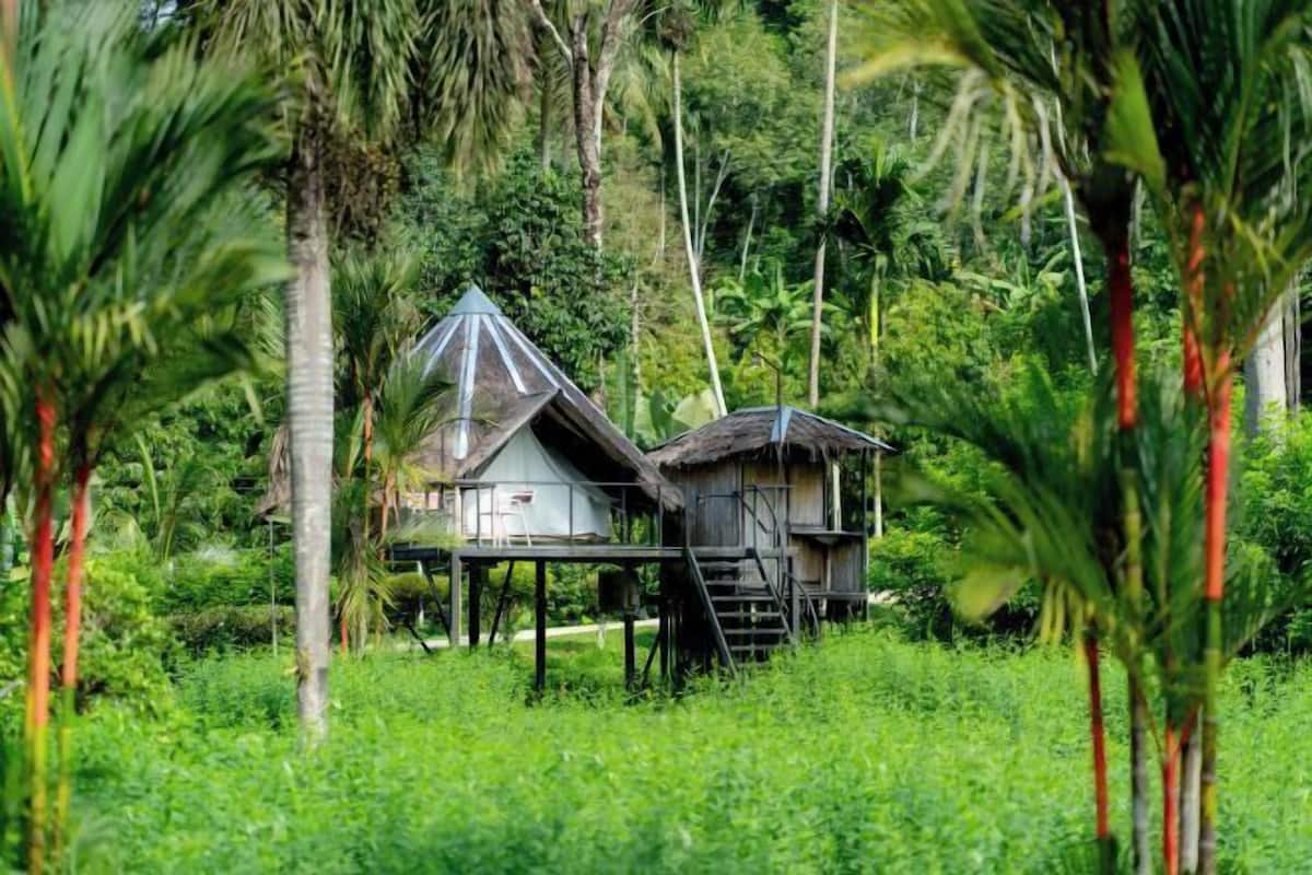 Ein traditionelles Holzhaus mit einem Reetdach, das auf Stelzen steht, umgeben von üppiger Vegetation und Palmen.