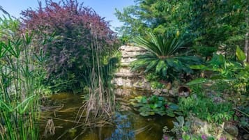 Khuôn viên nơi lưu trú