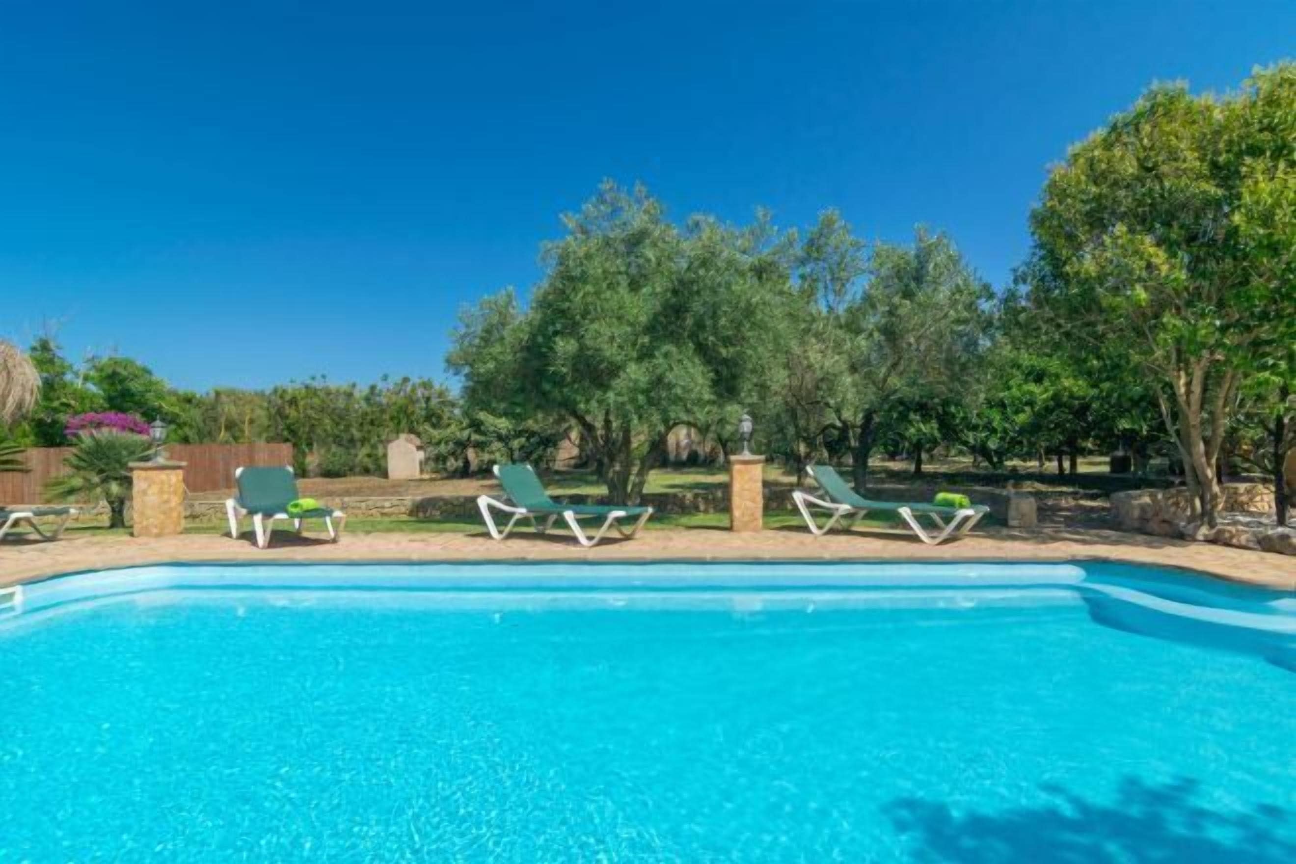 حمام سباحة خارجي