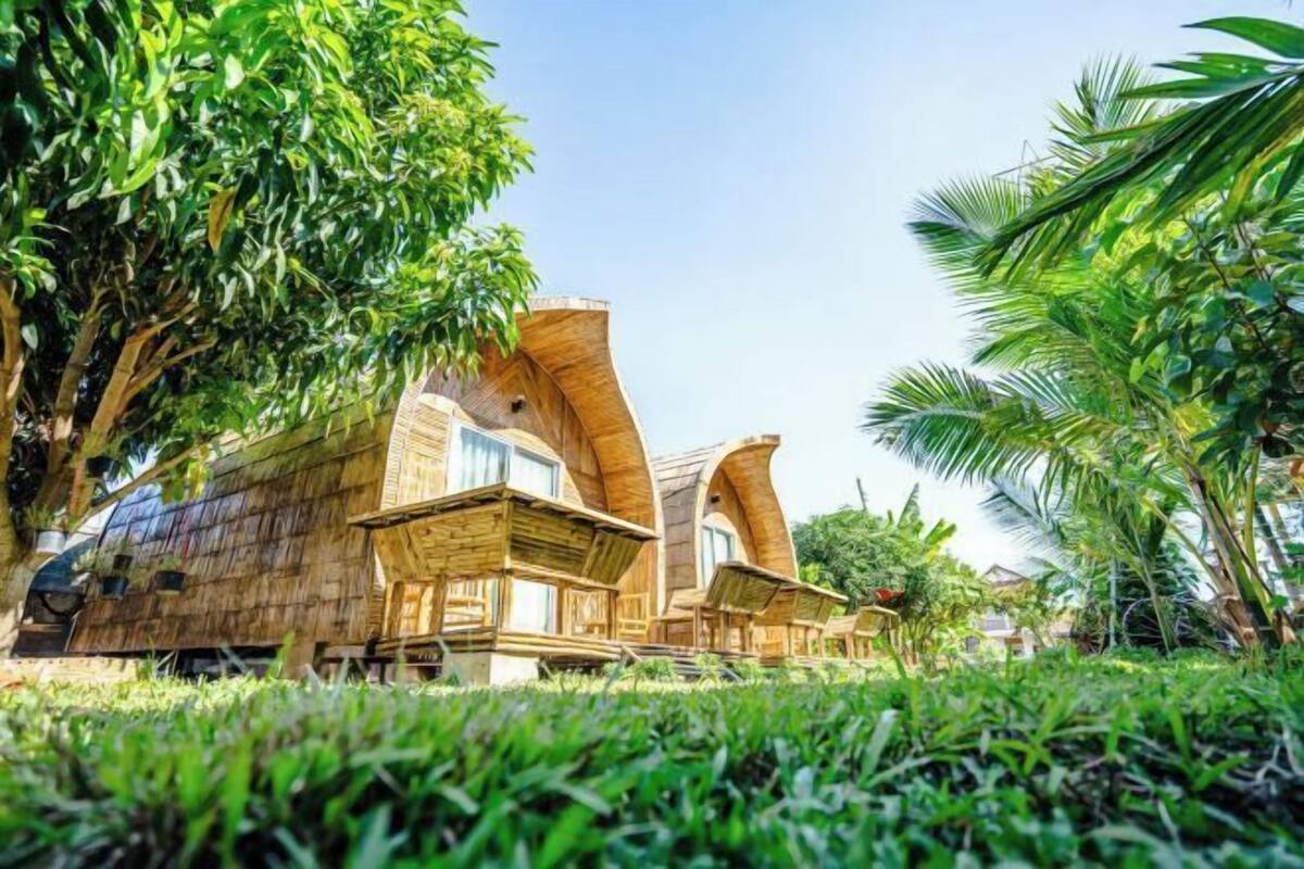 Un bâtiment en bois à l’architecture aux lignes courbes, entouré d’une végétation luxuriante.