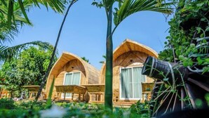 Twee houten hutten met puntige daken, omgeven door weelderig groen en palmbomen.