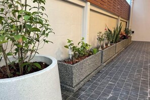 施設の敷地