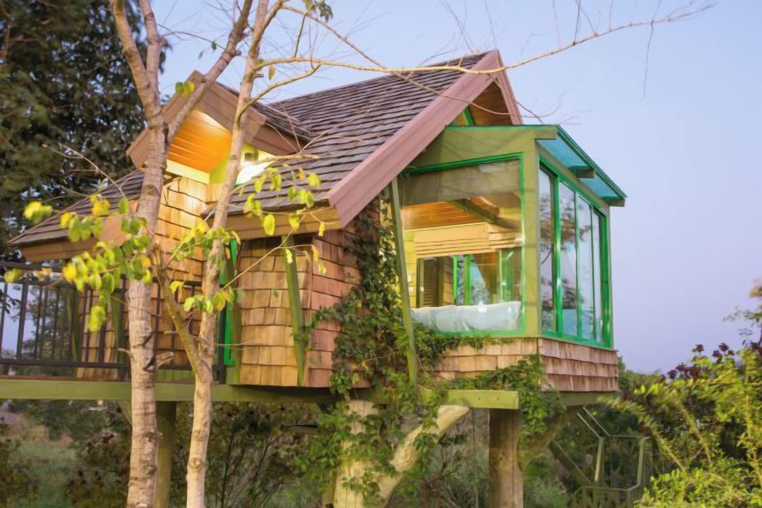 A treehouse with a glass enclosure, wooden exterior, and a bed visible inside.