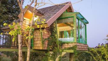 A treehouse with a glass enclosure, wooden exterior, and a bed visible inside.