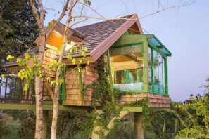 Une cabane dans les arbres dotée d’une structure en verre, d’un revêtement extérieur en bois et d’un lit visible à l’intérieur.