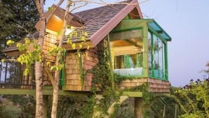 A treehouse with a glass enclosure, wooden exterior, and a sloped roof. - Naralin Khaoyai (Pak Chong)