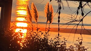 Un coucher de soleil sur une étendue d’eau, avec de hautes herbes au premier plan.