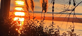 FAMILY FRIENDLY BEACH FRONT BEACH HOUSE WITH KAYAKS, FISHING RODS, TOYS & BOOKS