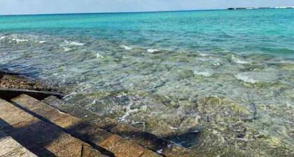 15 Minutes to Airport~1 Minute Walk to Beach YeHeJu