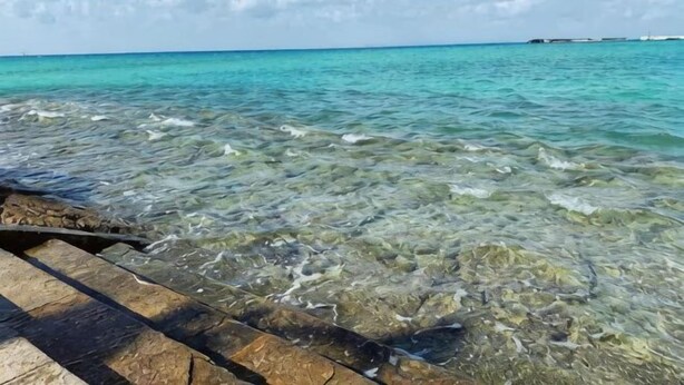 Una vista despejada del océano con un muelle de madera que se adentra en el agua.