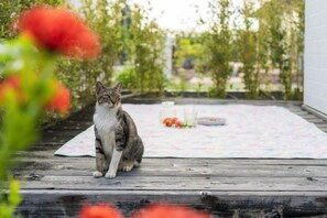 A cat sitting on a wooden deck with a picnic setup in the background. - 15 Minutes to Airport~1 Minute Walk to Beach YeHeJu (Itoman)