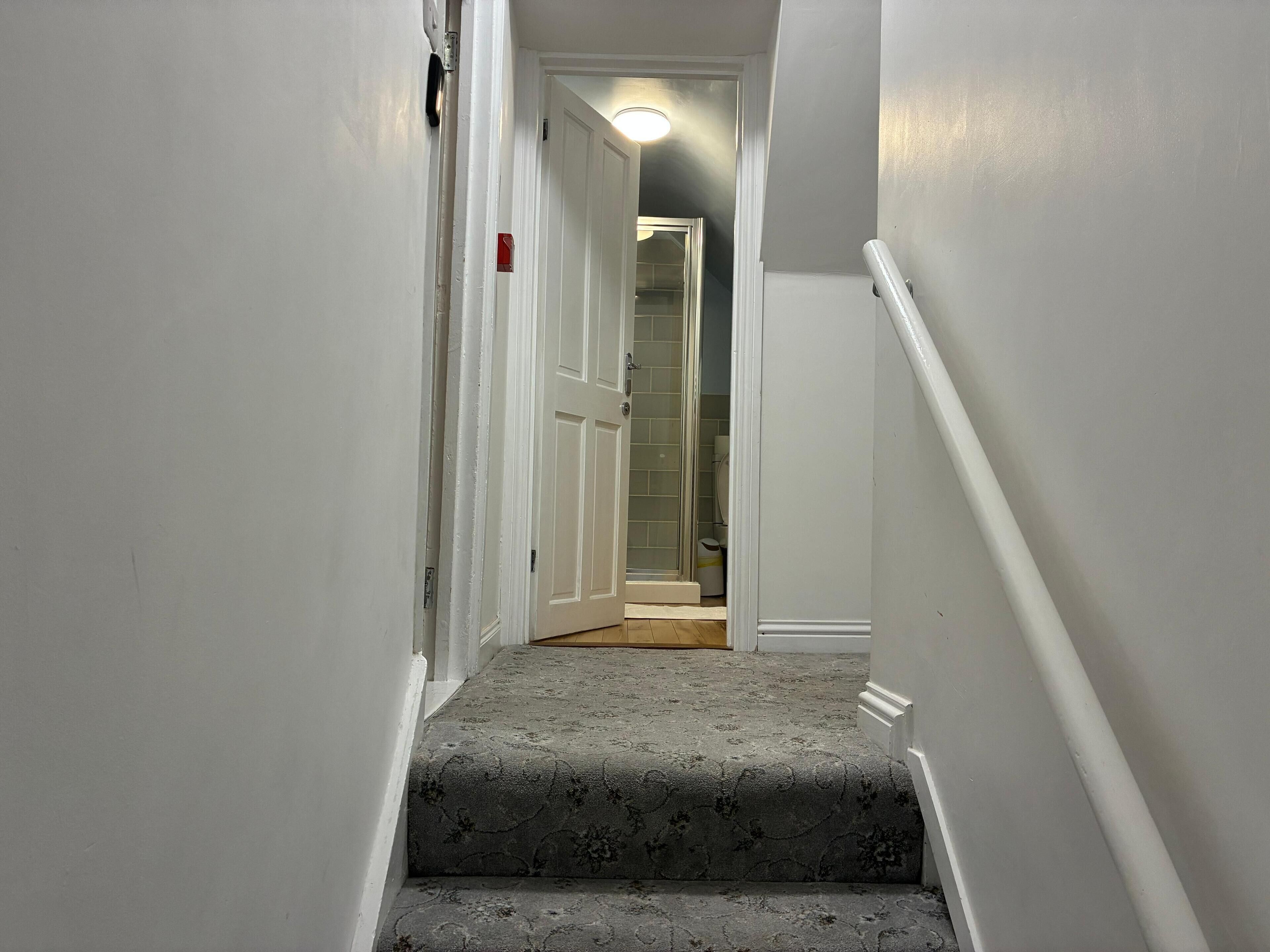 A narrow hallway with a carpeted staircase leading to a room with a toilet and a shower.