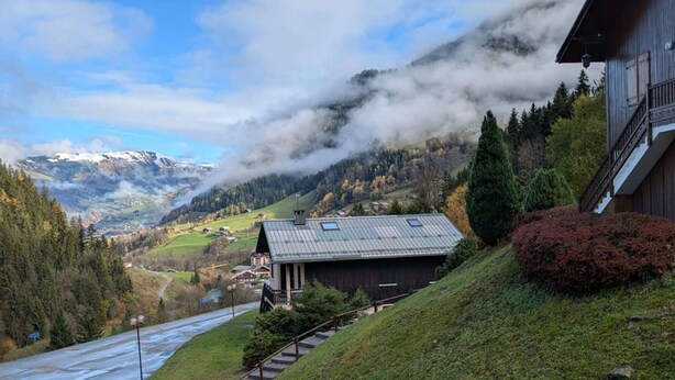 A mountain cabin with a metal roof, surrounded by lush greenery and a view of snow-capped mountains. - Large studio cabin 4 pers. with garage 600m from ski lifts (Arêches-Beaufort)