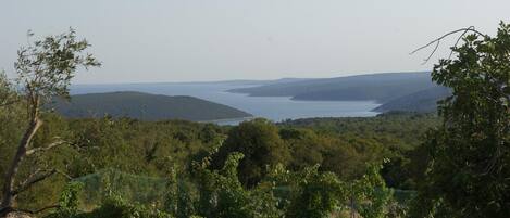 Una vista panorámica de un paisaje costero con un muro de piedra y una cerca de metal en primer plano, que conducen a una masa de agua y colinas lejanas.
