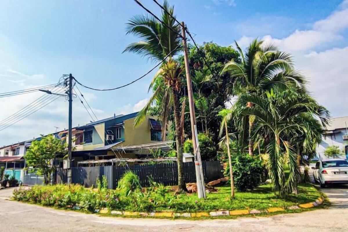A residential area with houses, palm trees, and a street.