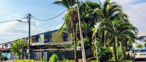 Área residencial com casas, palmeiras e uma rua.