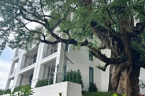 A modern building with a large tree in front. - Sokview Residence (Luang Prabang)