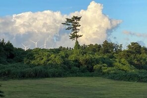 Blick von der Unterkunft