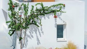 Een wit gebouw met een raam, een wandplant met groene bladeren en rode bloemen, en een plantenbak met diverse planten en grassen.