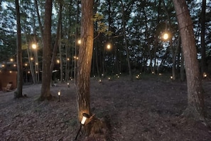 Mets äinen alue, jossa on puita ja valoketjuja.