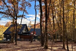 A cabin surrounded by trees in a forested area.