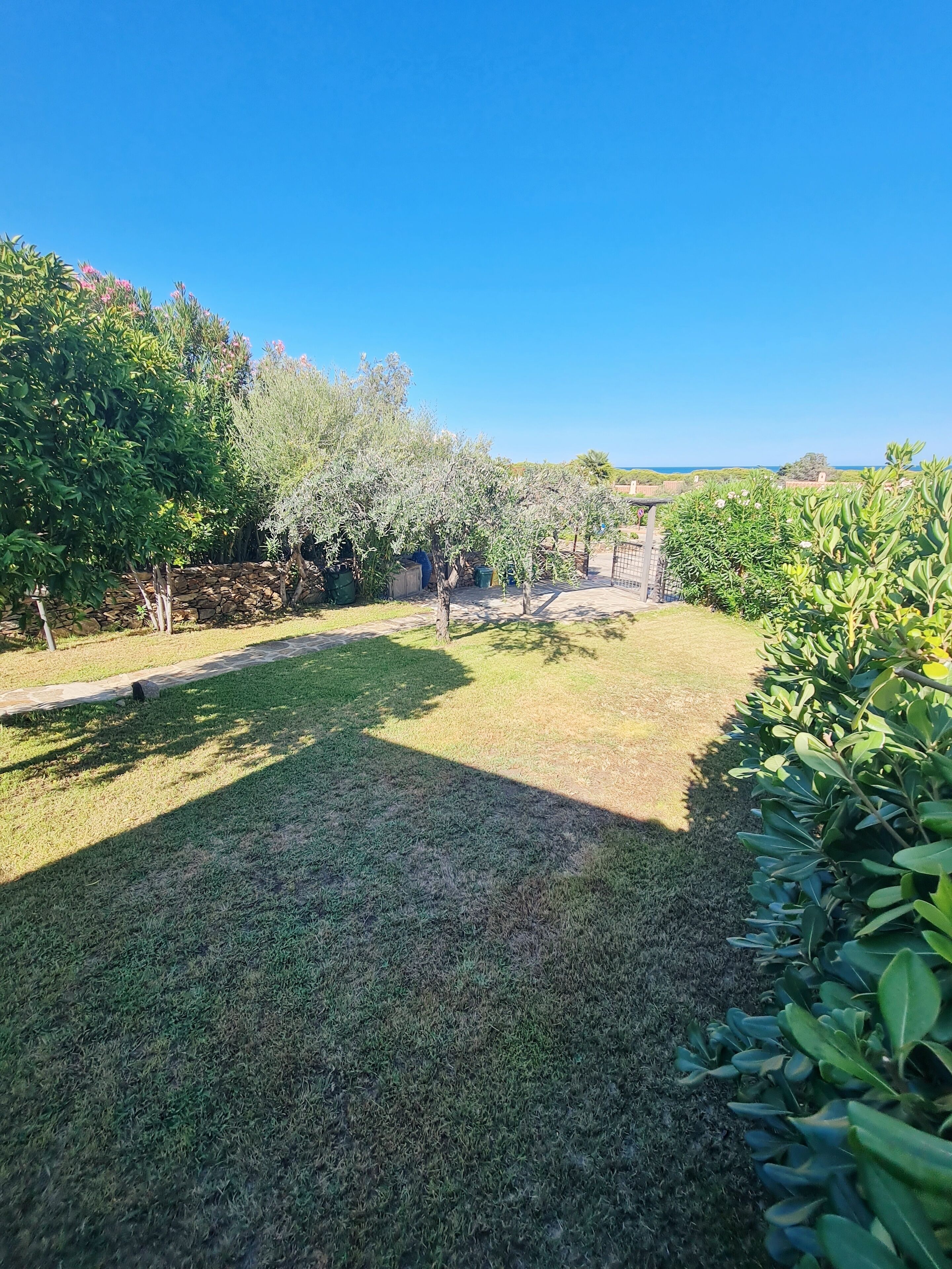 A well-maintained garden with a variety of trees and shrubs, a stone wall, and a clear blue sky.